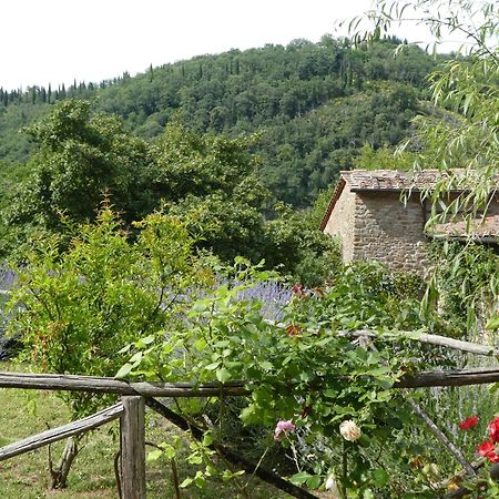 Il Capriolo Villa San Cerbone Exteriör bild