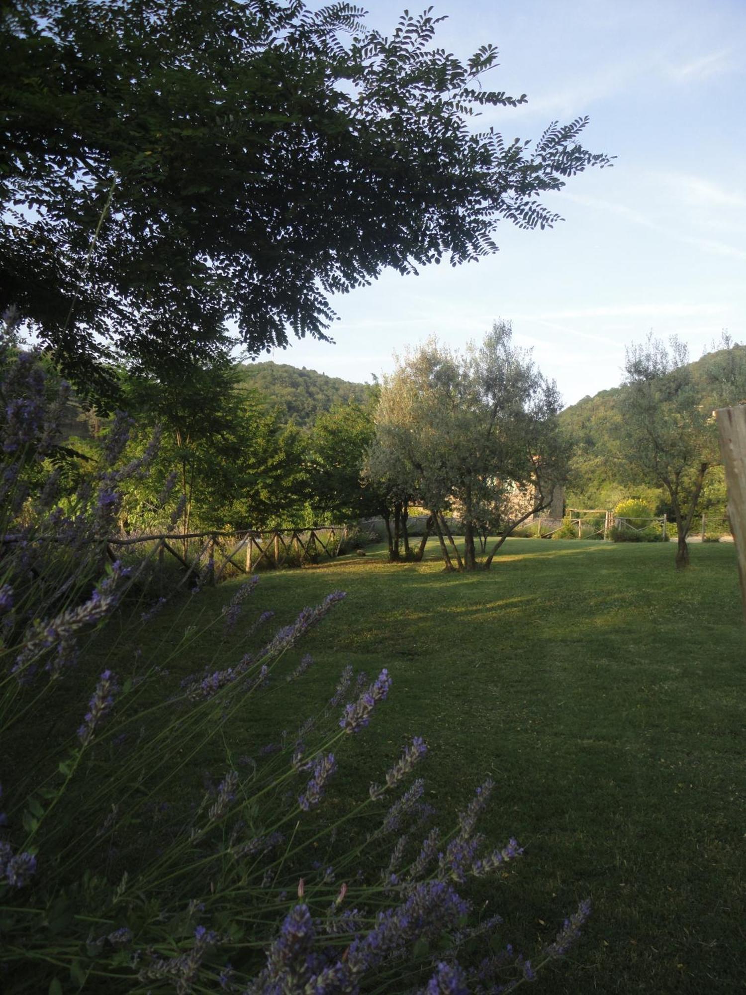 Il Capriolo Villa San Cerbone Exteriör bild