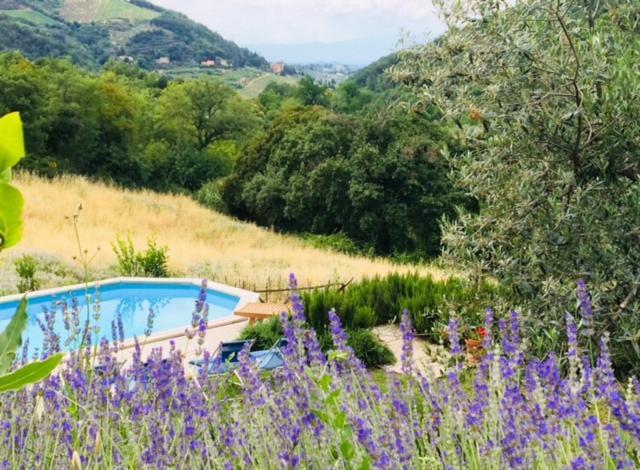 Il Capriolo Villa San Cerbone Exteriör bild