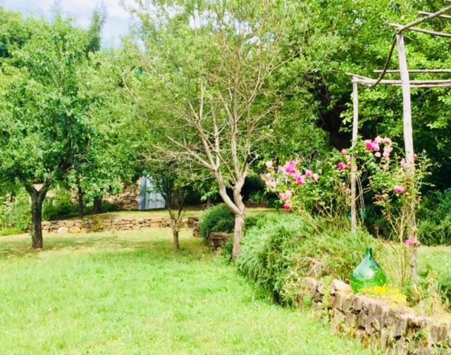 Il Capriolo Villa San Cerbone Exteriör bild
