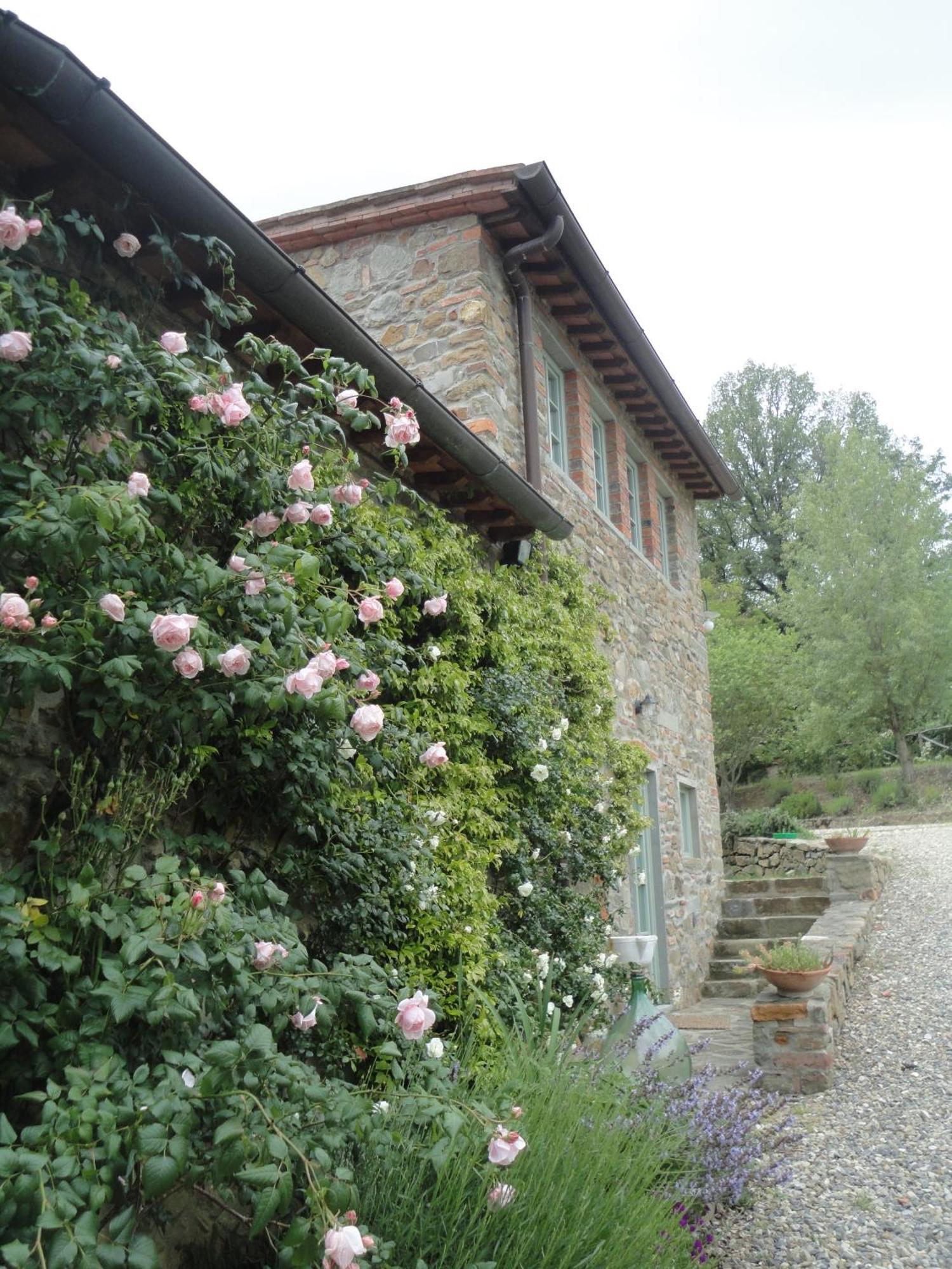 Il Capriolo Villa San Cerbone Exteriör bild