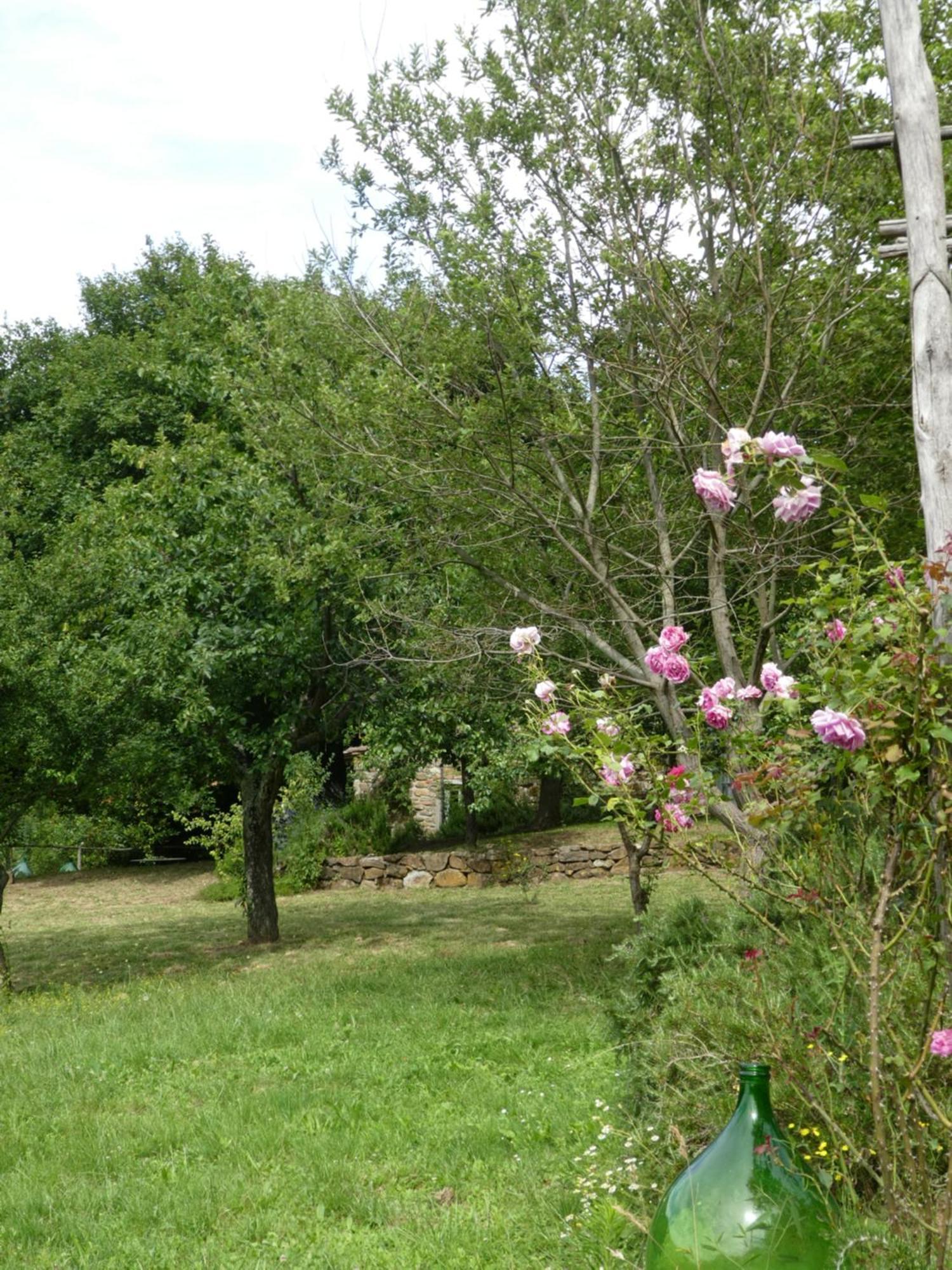 Il Capriolo Villa San Cerbone Exteriör bild